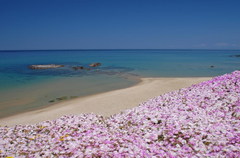 Frühstückspension Piana Castelsardo